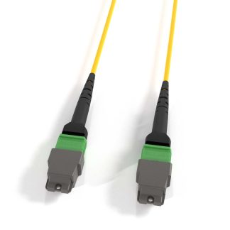 MTP OS2 Type-A Single-Mode 12 Fibers Trunk Cable F/F